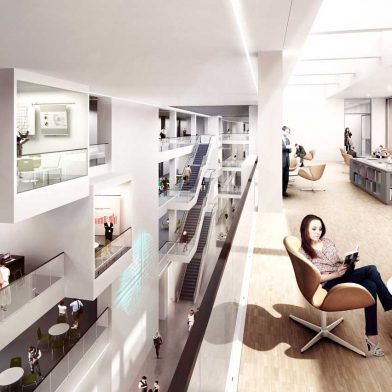 Frankfurt School of Finance and Management